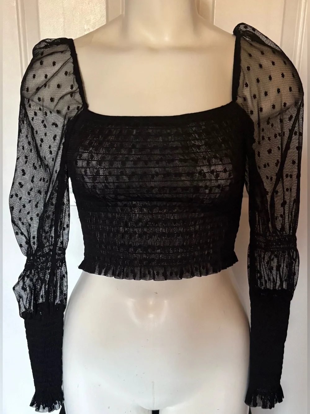 Sheer knit crop top, Free People, long sleeve with smocked details size Small